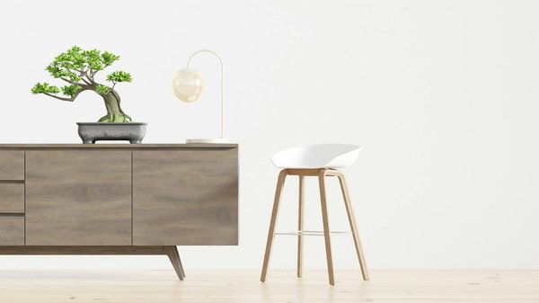 Toiture Verte : Votre Guide Complet pour une Couverture Végétalisée Durable et Écologique