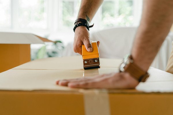 Investir dans un Chalet Montagnard : Opportunités et Obstacles d'un Projet Alpin Passionnant