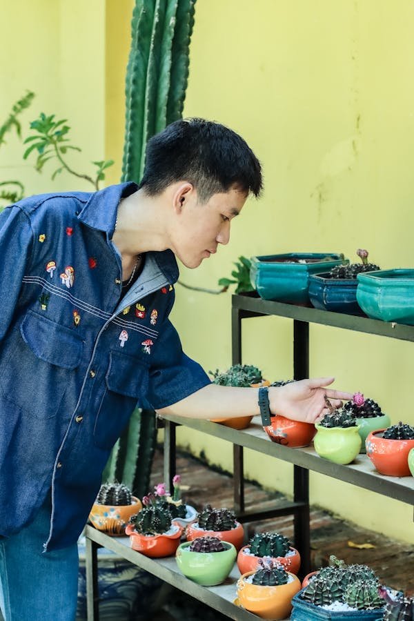 Scarificateur ou démousseur : les clés pour un jardin sain
