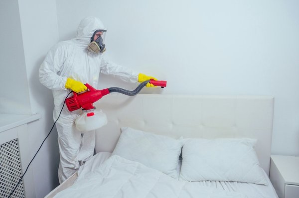 Top solutions pour traiter les punaises de lit selon vos besoins